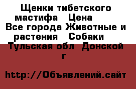 Щенки тибетского мастифа › Цена ­ 80 - Все города Животные и растения » Собаки   . Тульская обл.,Донской г.